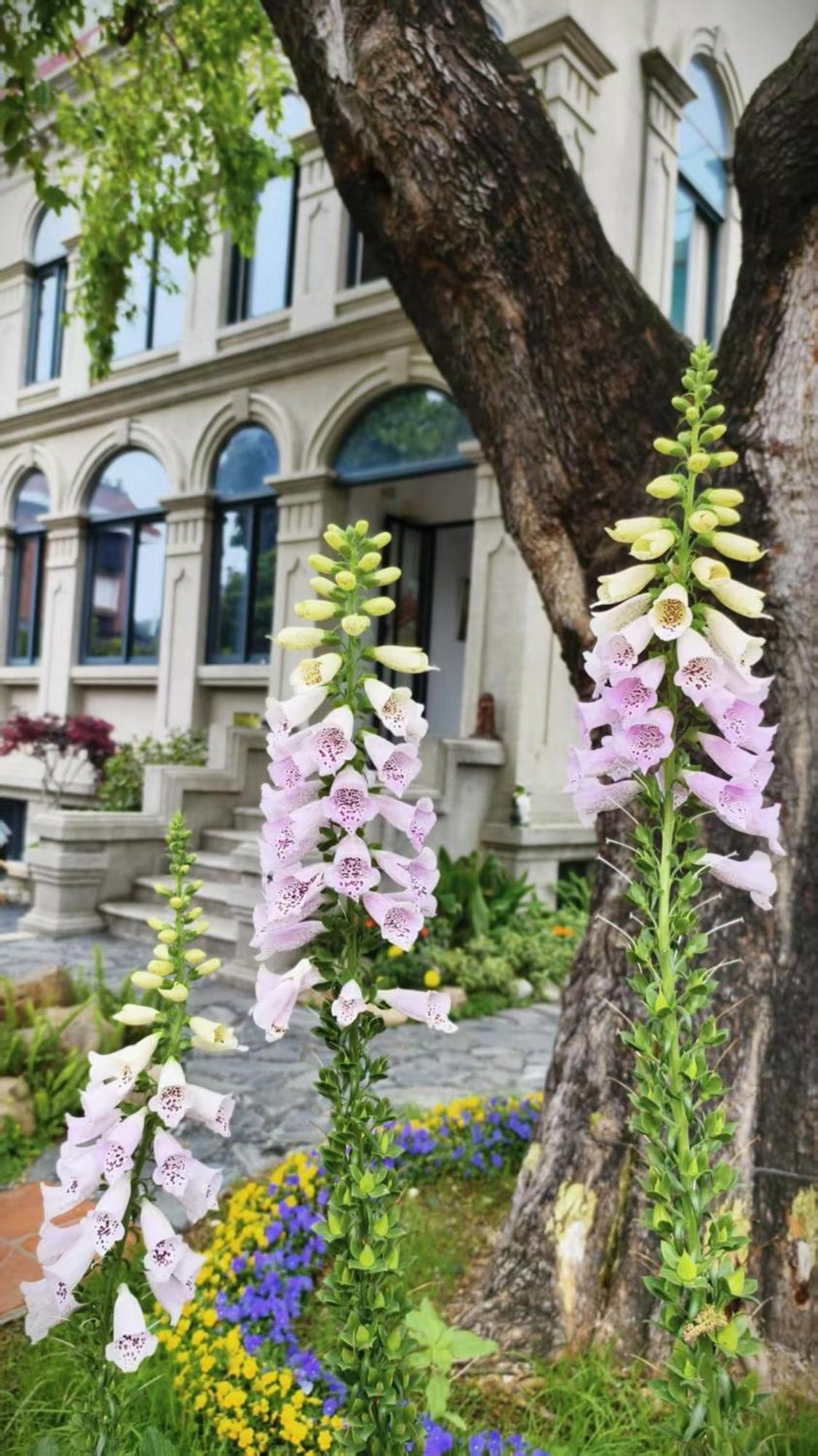 Xiamen Gulangyu Heitan Hotel Zewnętrze zdjęcie